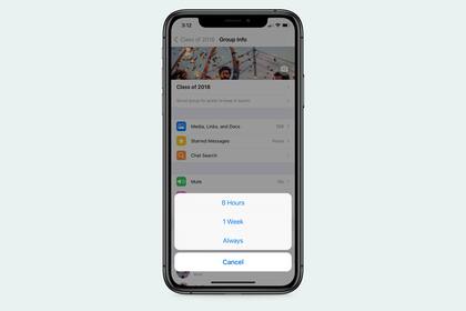 WhatsApp permite silenciar para siempre las notificaciones de un chat individual o grupal, una característica que ya había evaluado en las versiones de prueba del servicio de mensajería instantánea