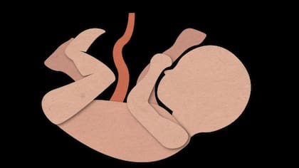 Imagen ilustrativa