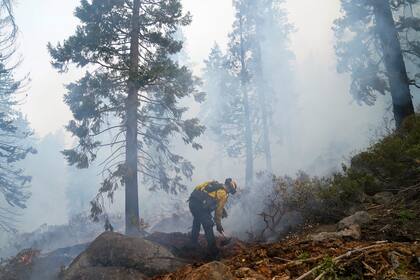Will Fitch, capitán de equipo del Departamento de Bomberos de Cosumnes, trabaja en un incendio provocado para controlar la propagación del de Caldor, en South Lake Tahoe, California, el 3 de septiembre de 2021. (AP Foto/Jae C. Hong)