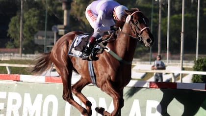 Wilson Moreyra, ganador