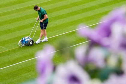 La perfección: Wimbledon tiene un cuidado artesanal del césped de sus canchas