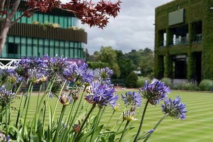 Pese a no haber competencia, Wimbledon sigue cuidando cada detalle para que puedan jugar los miembros del All England.