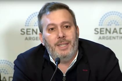 Wolf durante su intervención en el Senado