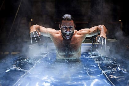 wolverine