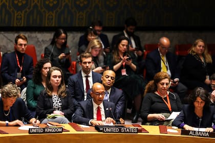 Wood, durante su discurso en la ONU (AFP)