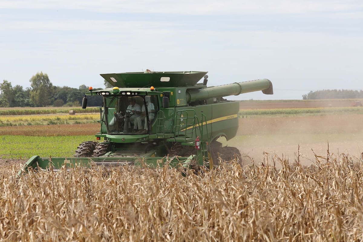 XPOAGRO 2016.
EXPOSICION DINAMICA.
COSECHA DE MAIZ.
FOTOGRAFIA SANTIAGO HAFF