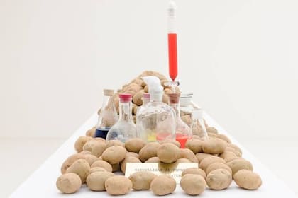 Naturalizar al hombre, humanizar a la naturaleza o Energía vegetal: instalación de 1977 que volvió a exhibirse en la Bienal de San Pablo 39 años después de su creación