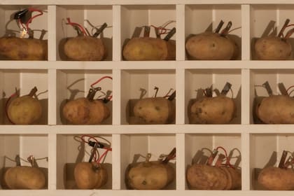 Detalle de Analogía I (1970-71), instalación donada por Fundación Antorchas al Museo Nacional de Bellas Artes en 1990