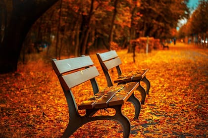 Ya comenzó el otoño (Foto de carácter ilustrativo: PIXABAY)