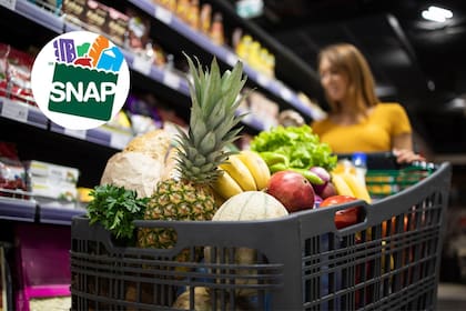 Ya está disponible el calendario de pagos de SNAP para enero de 2026 en Nueva Jersey (Freepik/SNAP)