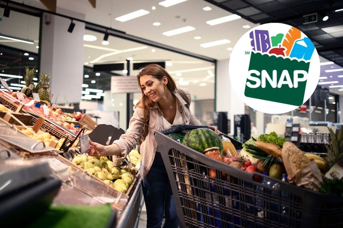 Ya está disponible el calendario de pagos de SNAP para enero de 2026 (Freepik/SNAP)