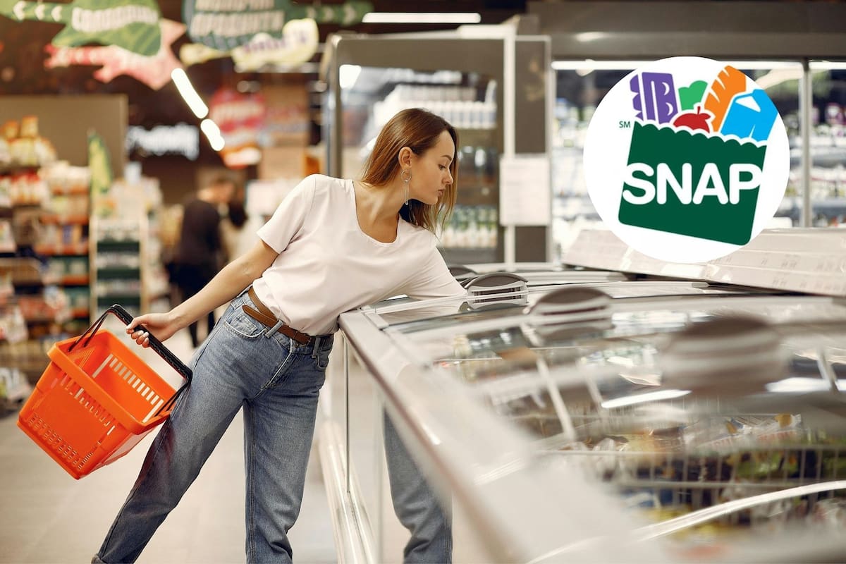 Ya está el calendario de pagos del programa Snap para febrero de 2026 (Pexels)