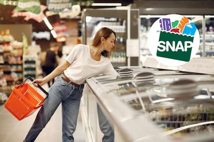 Ya está el calendario de pagos del programa Snap para febrero de 2026 (Pexels)