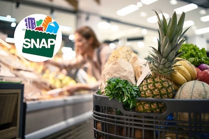 Ya están disponibles las fechas de pago del programa Snap para 2026 (Freepik/Snap)