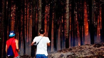 Ya hay más de 140 focos de incendio en Chile