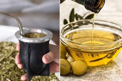 Yerba aceite de oliva