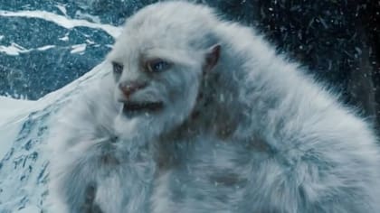 Yeti