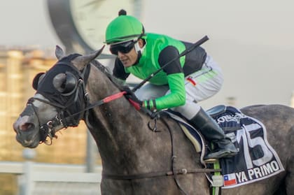 La victoria de Yo Primo fue la cuarta en el Club Hípico de Santiago, donde los caballos chilenos están invictos