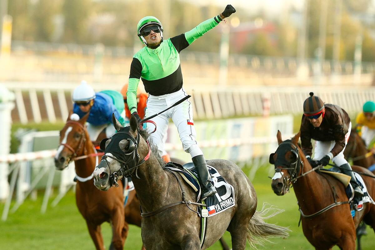 Yo Primo se consagró campeón del Gran Premio Latinoamericano en Santiago de Chile