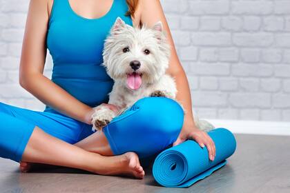 Yoga con perros, una práctica que se impone
