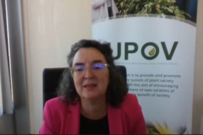 Yolanda Huerta, vicesecretaria general de la Upov, cuando brindó un Zoom para explicar el alcance de la Upov-91