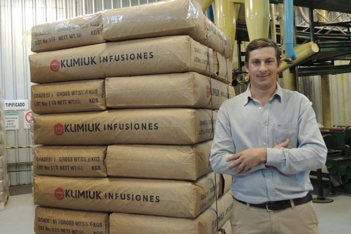 Yonathan klimiuk, productor de té, una de las economías regionales que podrán ingresar al esquema del dólar agro