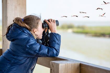 La observación de aves se interrelaciona con muchas áreas dentro del bienestar, la salud y el deporte