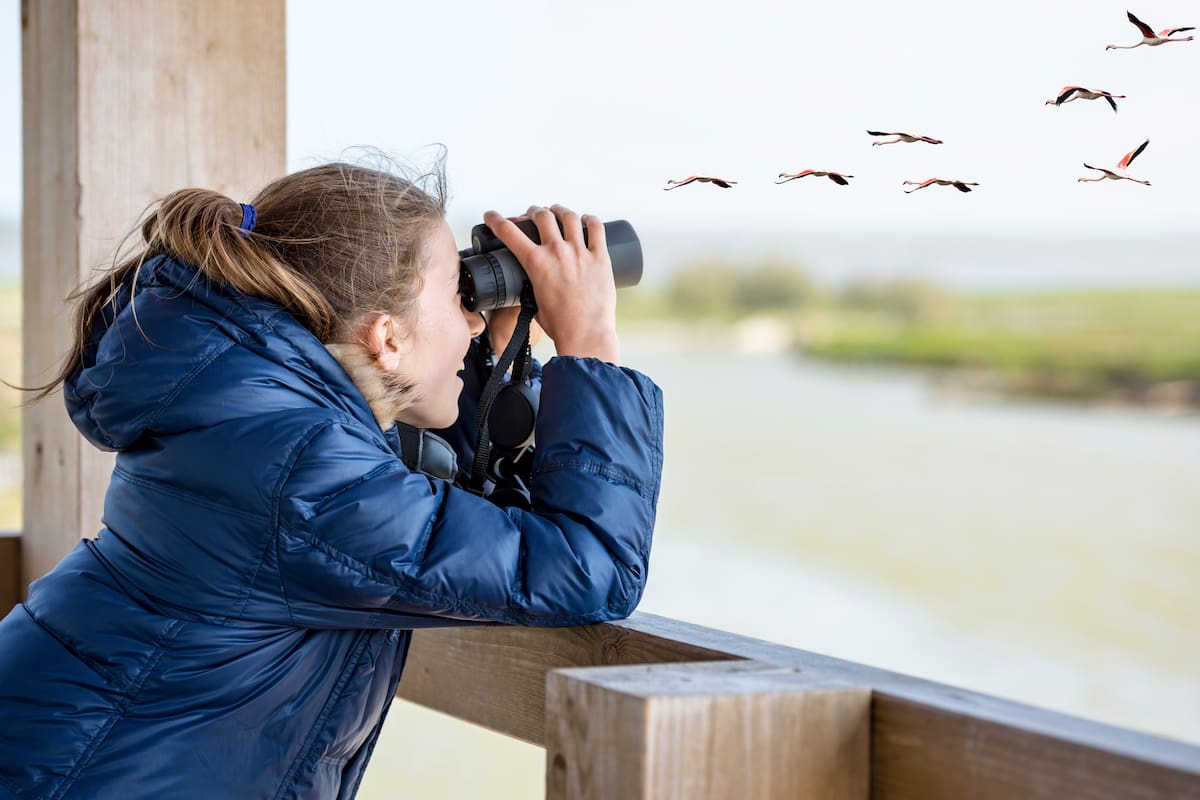 Young girl bird watching
