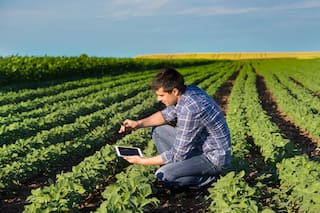 ¿Qué hace un ingeniero agrónomo? Una antigua pregunta que tiene nuevas respuestas