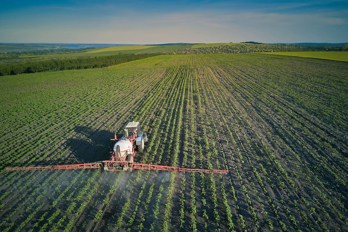 Young sunflower plants in field spraying, agriculture in spring, tractor with equipment Aerial view.