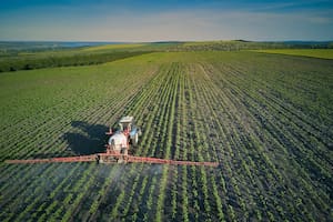 Young sunflower plants in field spraying, agriculture in spring, tractor with equipment Aerial view.