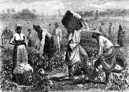 Zambo se le llamaba a una persona “nacida de hombre negro y mujer indígena, o de hombre indígena y mujer negra”, señala la Real Academia Española (Dibujo de una plantación en EE.UU.)