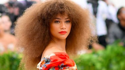 Zendaya confirmó que no asistirá a la gala del MET de este 2022
