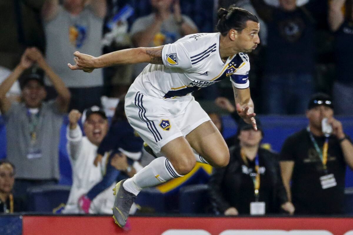 Zlatan Ibrahimovich