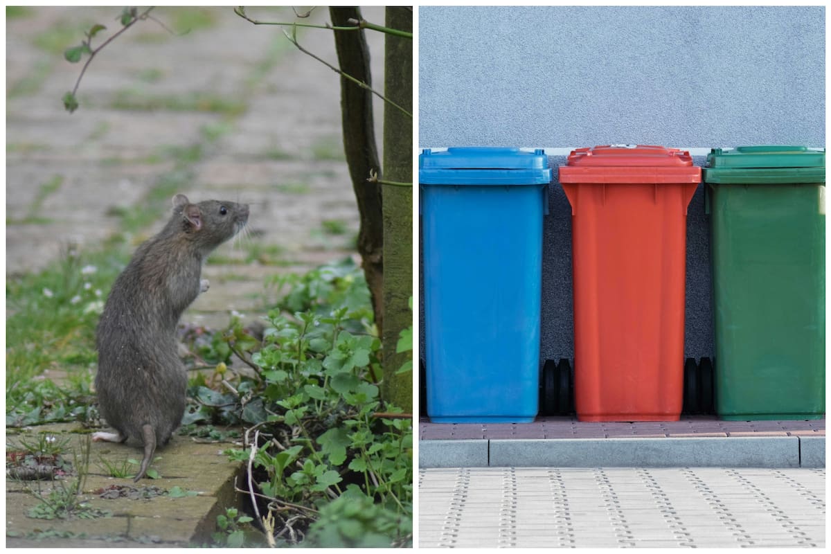 Zohran Mamdani, alcalde de Nueva York, busca ampliar el programa de contenedores de basura en toda la ciudad