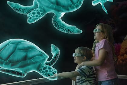 Zoocade es una experiencia única y novedosa en Estados Unidos