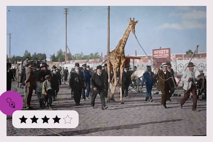 Zoofobia, estreno del jueves 3