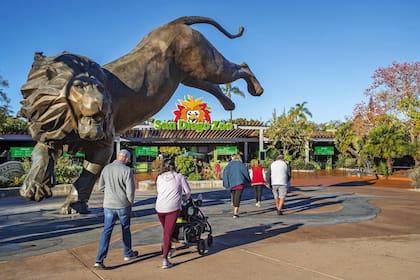 Zoológico De San Diego