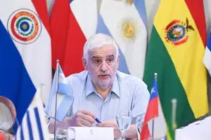 Los ministros del agro del Mercosur avanzaron en temas claves para la región