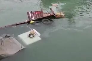 Un camión cayó al río y la gente se tiró al agua para quedarse con paquetes de encomienda