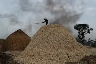En esta imagen de archivo, un trabajador, sobre un montón de fibra de caña de azúcar a las afueras de Bareilly, India, el 23 de marzo de 2021. (AP Foto/Rajesh Kumar Singh, archivo)