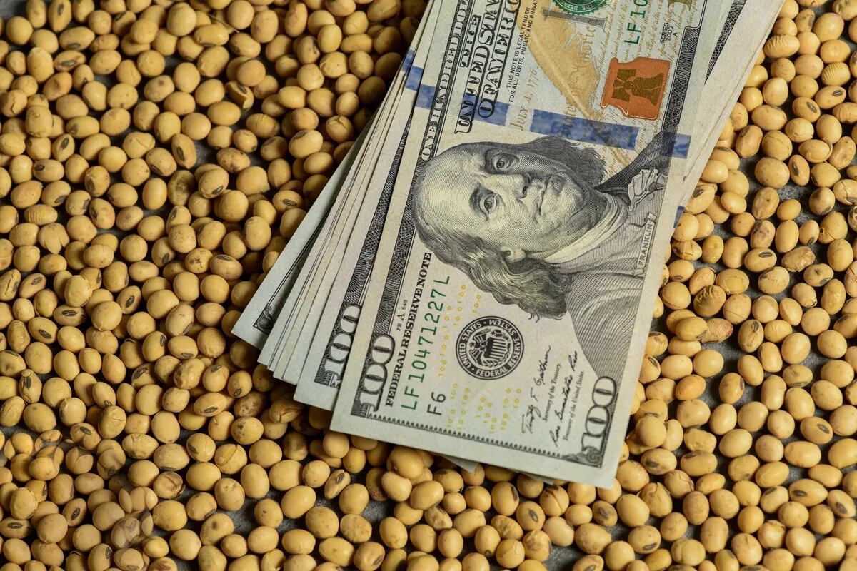 El Gobierno propuso un tipo de cambio a 0 para la soja del dólar agro