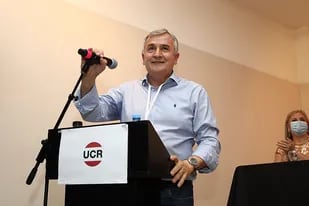 Gerardo Morales, en su reciente asunción como presidente de la UCR a nivel nacional.