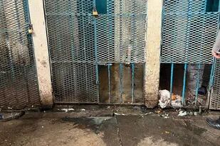 Las celdas de la cárcel de Las Flores, que los presos dicen que son "imposibles de habitar"