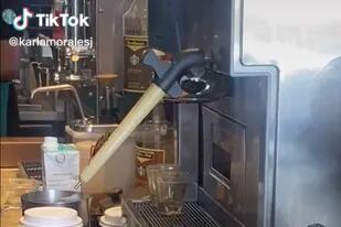 El momento exacto en que la cucaracha trepa por la máquina de café