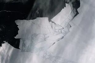 Un iceberg de 300 kilómetros cuadrados se desprendió del glaciar Pine Island en la Antártida y se hizo pedazos rápidamente