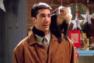 El actor junto a la mona en un episodio de la primera temporada de Friends