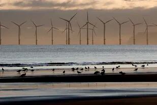 Países como Gran Bretaña apuestan a la energía eólica en sus costas del Mar del Norte