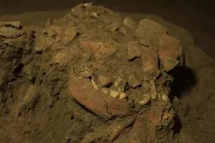 Un análisis genético realizado sobre los restos óseos de una joven enterrada hace 7200 años en la actual Indonesia, reveló que pertenece a una raza humana desconocida hasta ahora y que ya no existe más